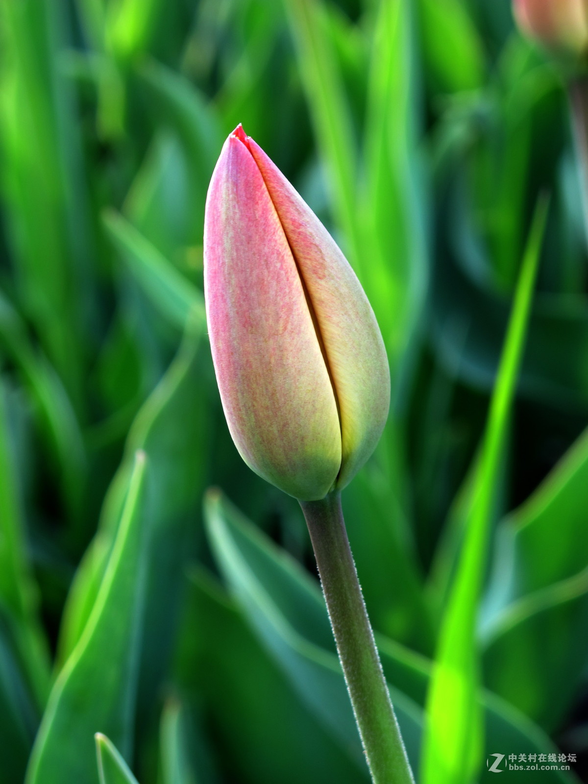 好久没来了，冒下泡！