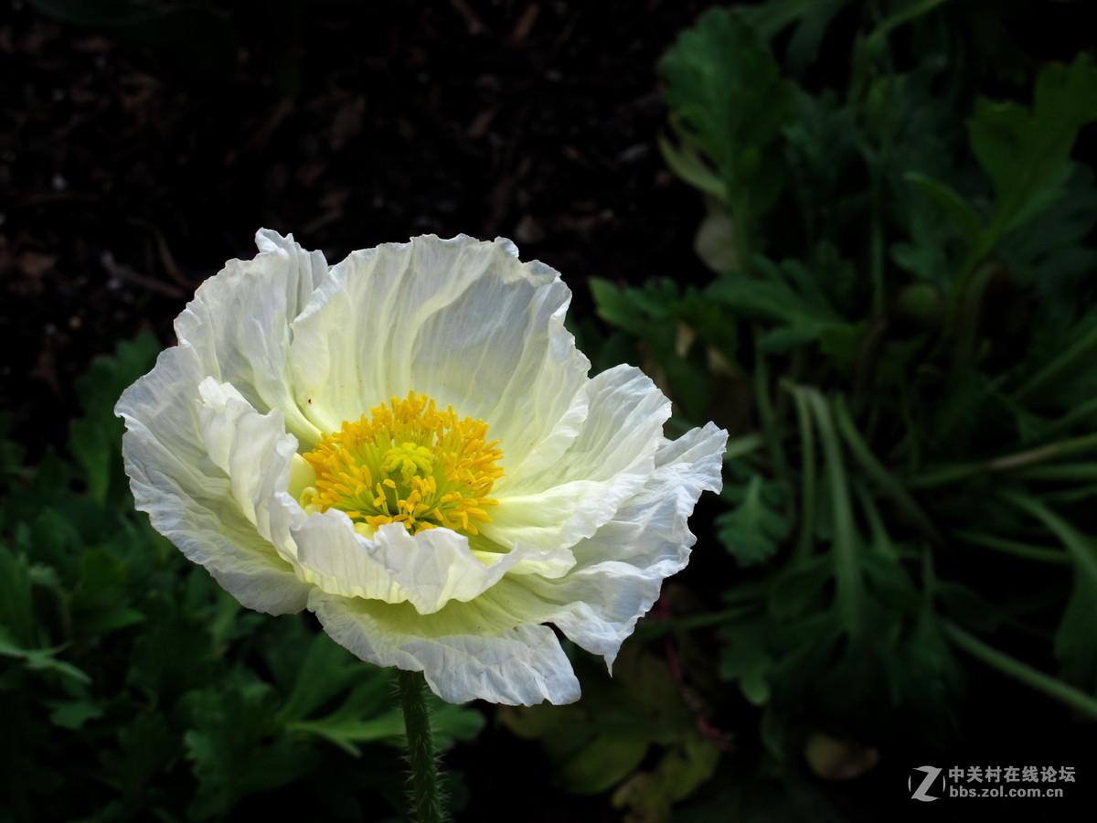 好久没来了，冒下泡！