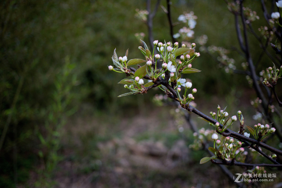 饼干头拍远景拍近物都不错~
