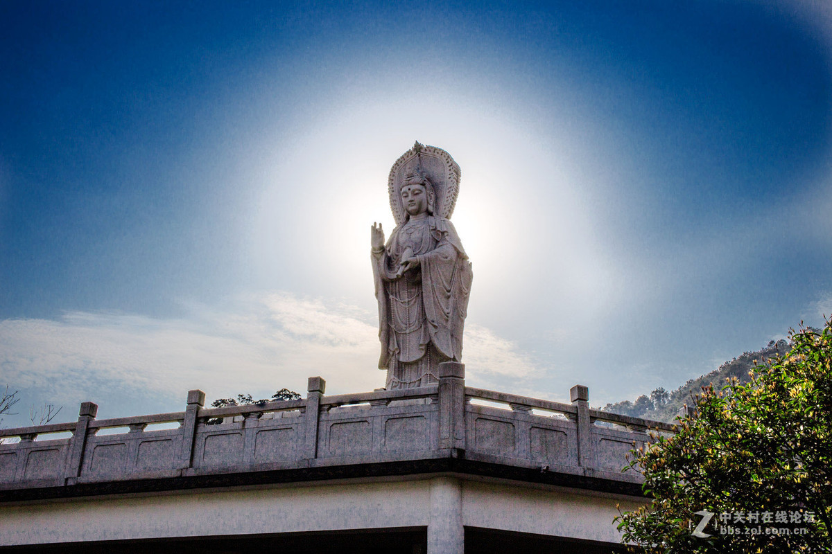 饼干头拍远景拍近物都不错~