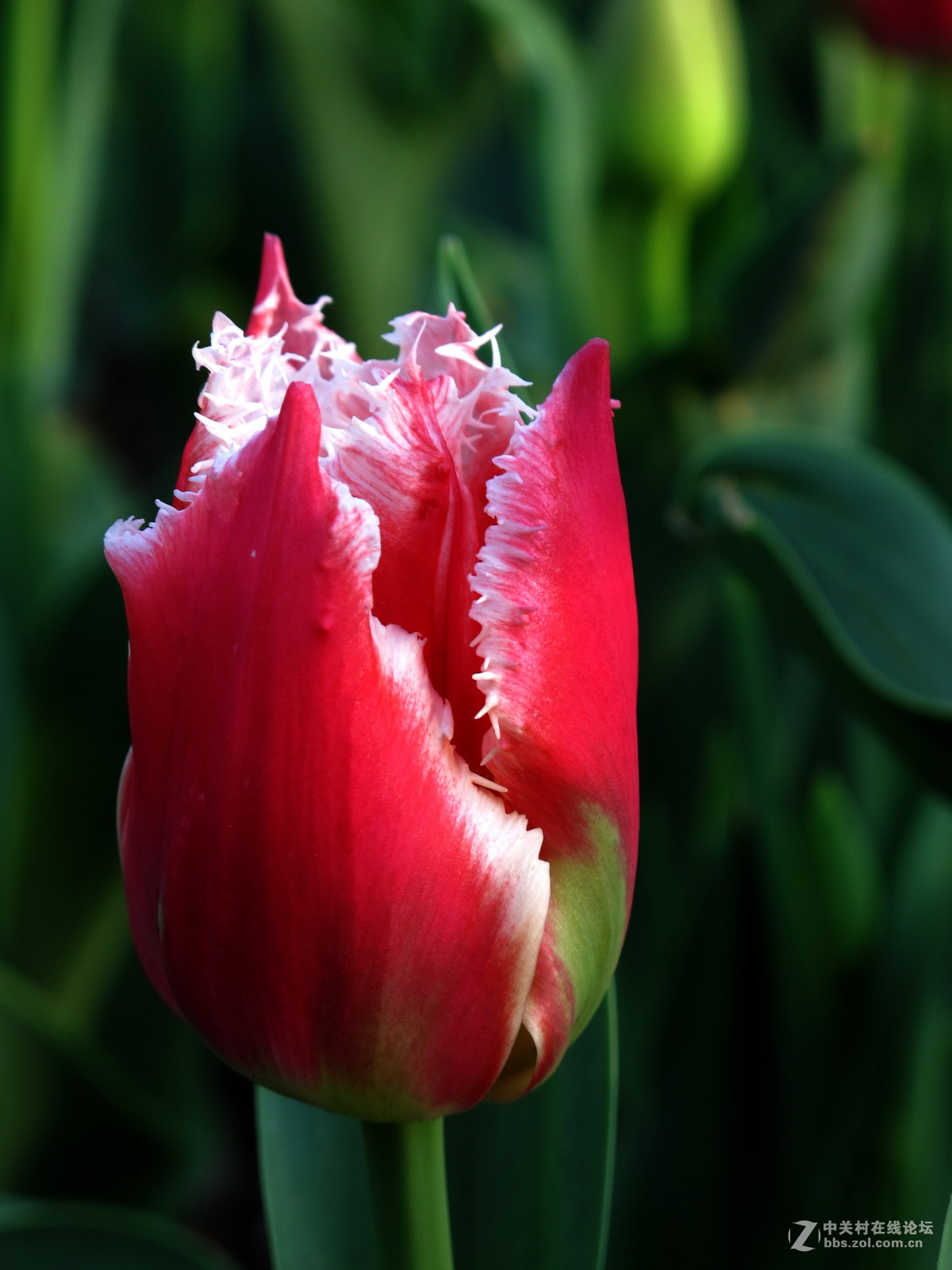 好久没来了，冒下泡！