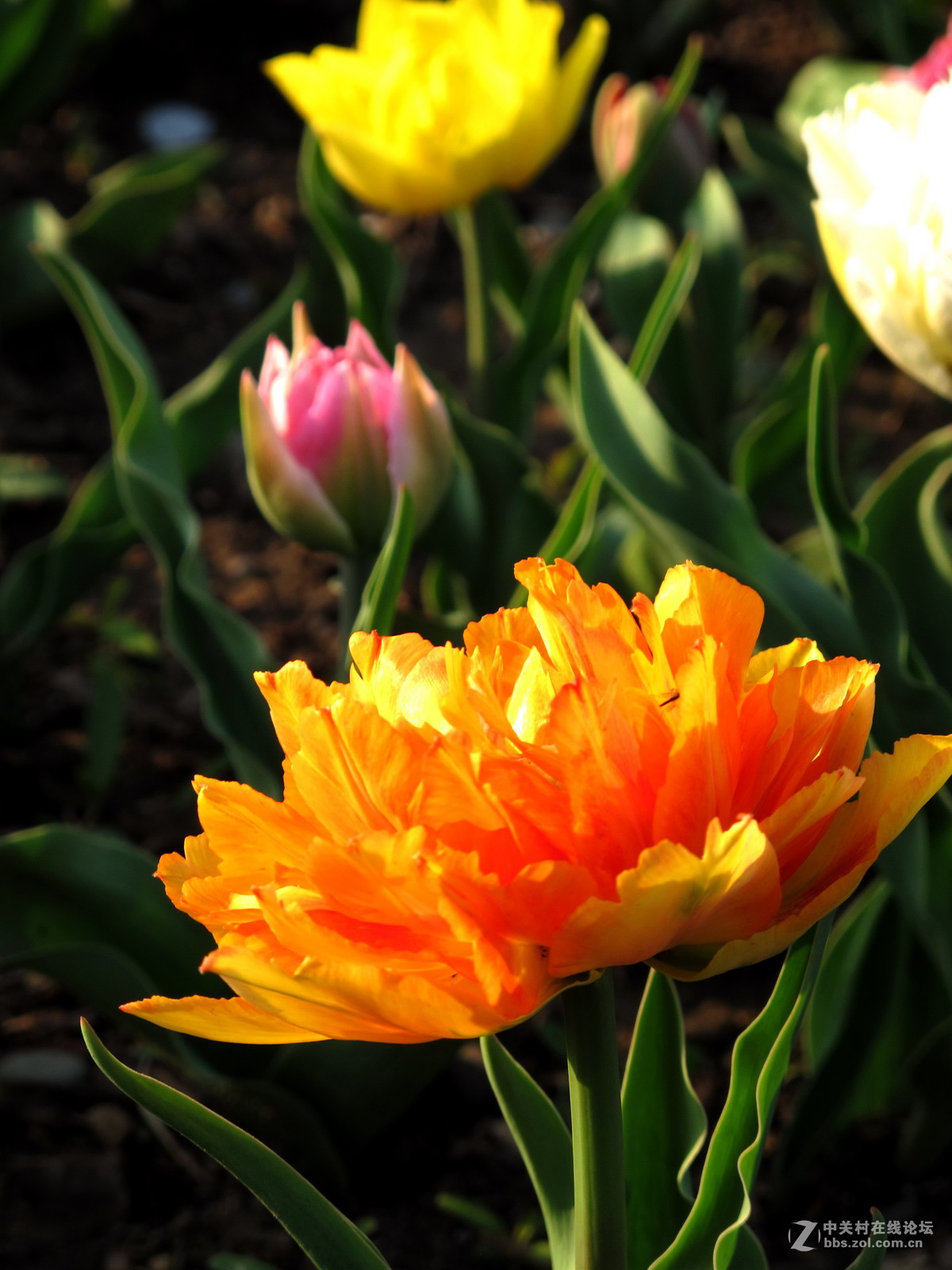 好久没来了，冒下泡！