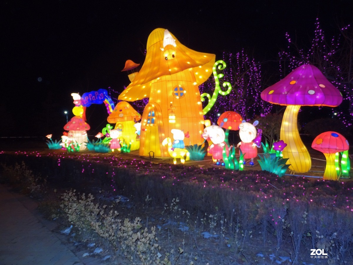 2019峡山灯会-4（完结篇）