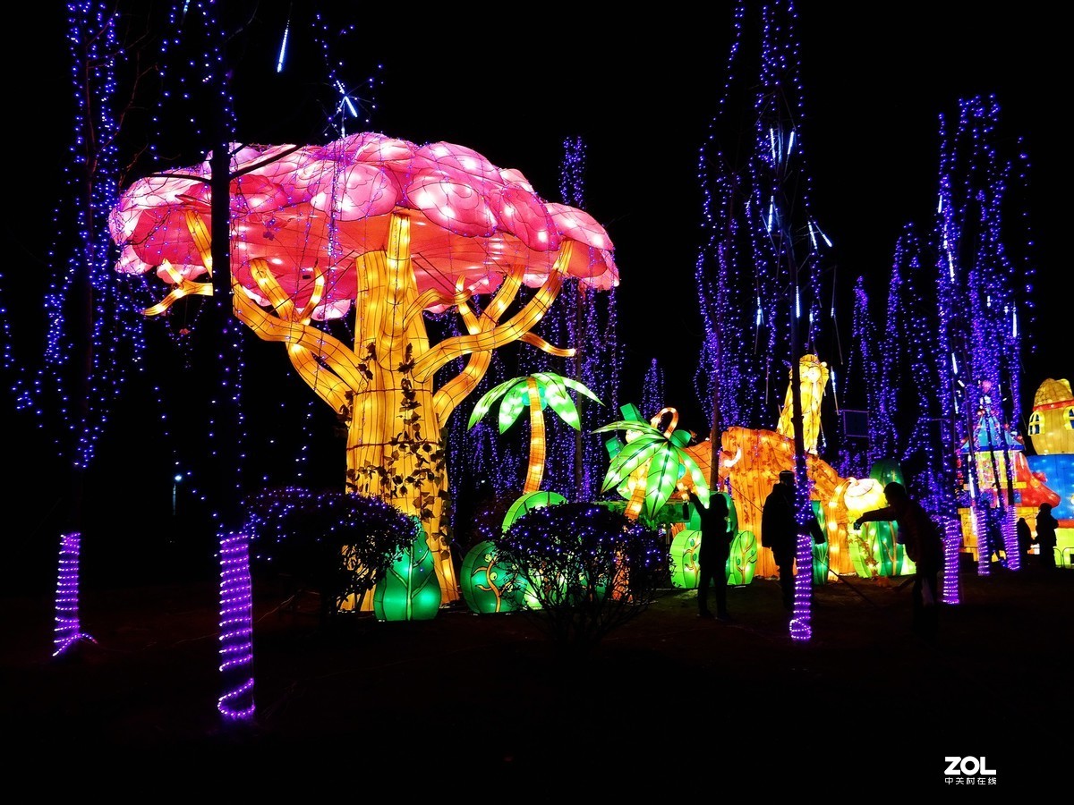 2019峡山灯会-4（完结篇）