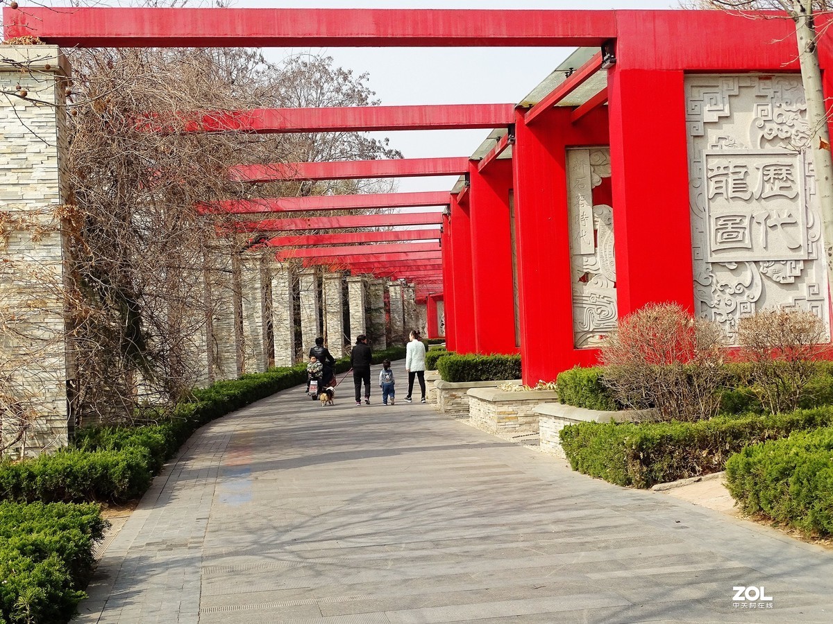 白浪河湿地随拍（2019.03.11-1）