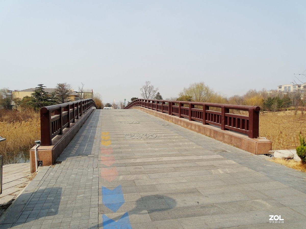 白浪河湿地随拍（2019.03.11-1）