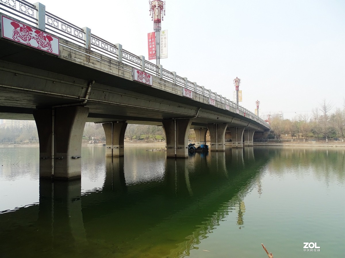 白浪河湿地随拍（2019.03.11-1）