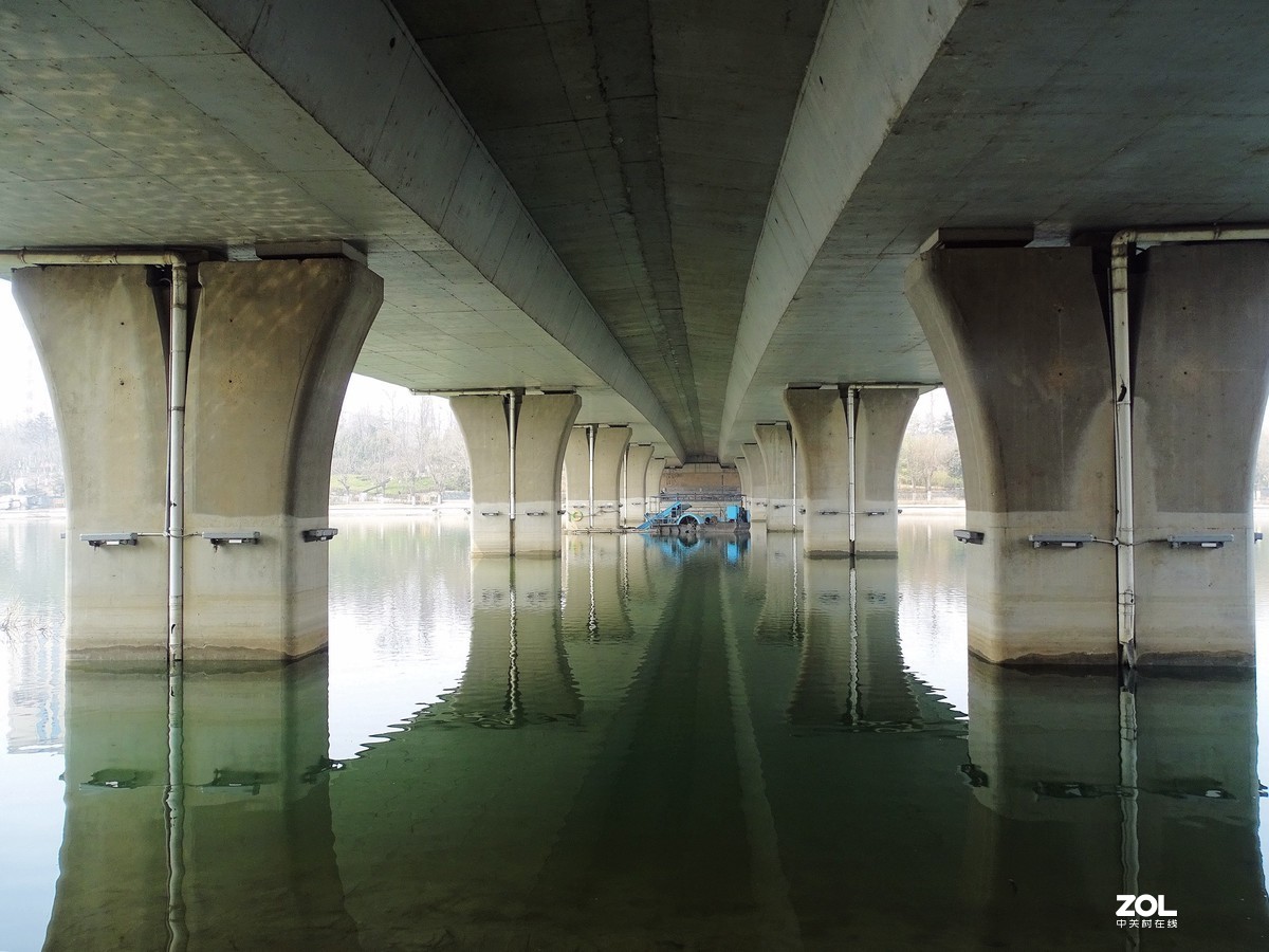 白浪河湿地随拍（2019.03.11-1）