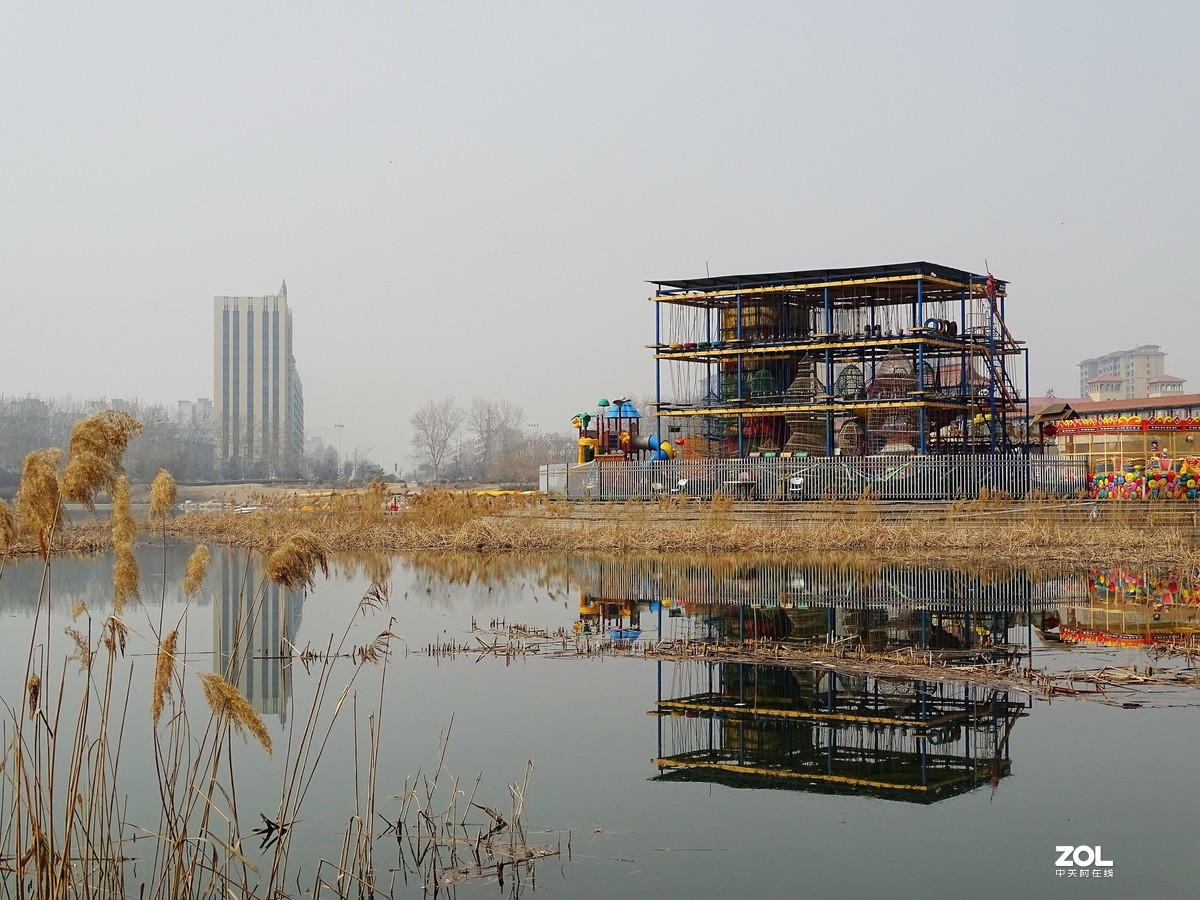 白浪河湿地随拍（2019.03.11-1）