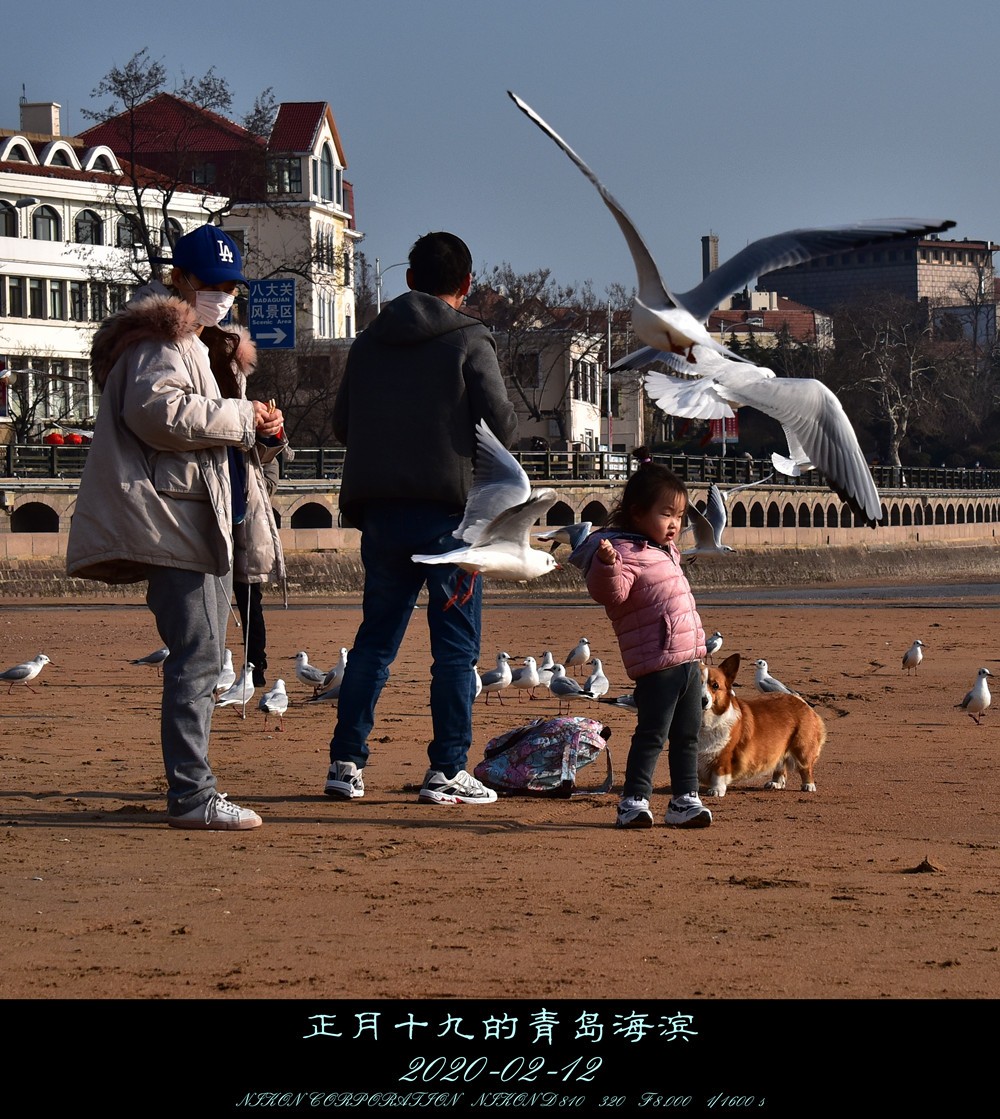 正月十九的青岛海滨。