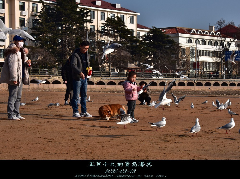正月十九的青岛海滨。