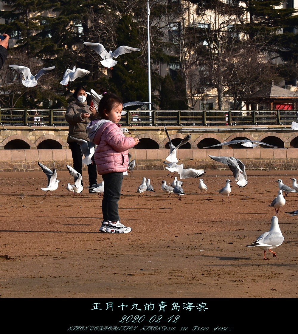 正月十九的青岛海滨。