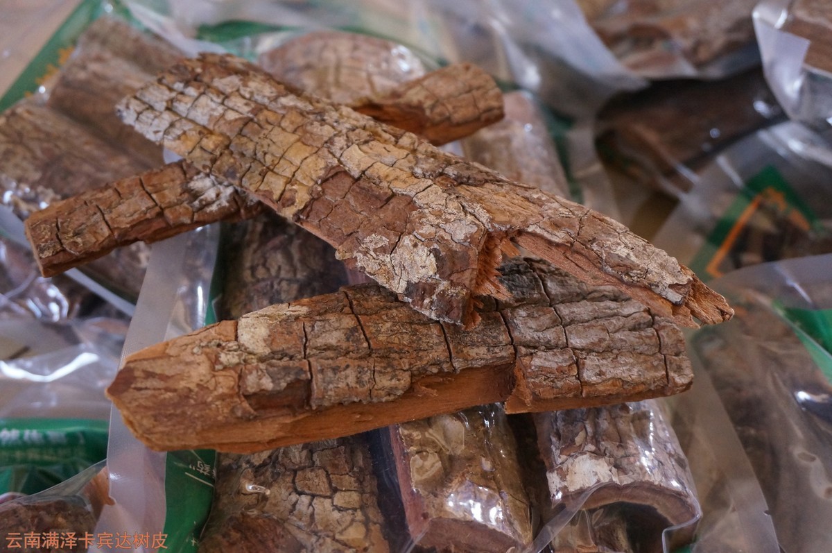 云南满泽卡宾达树皮图片
