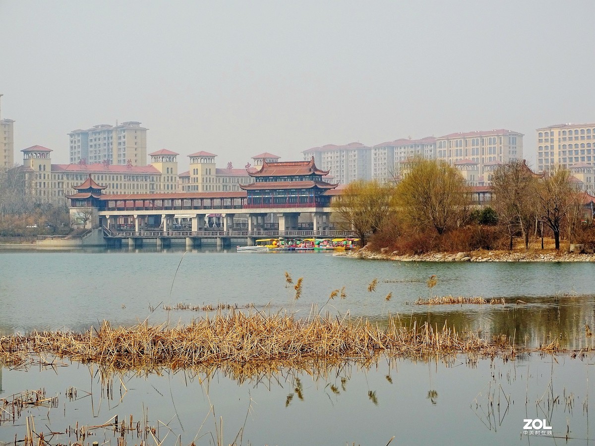 白浪河湿地随拍（2019.03.11-1）