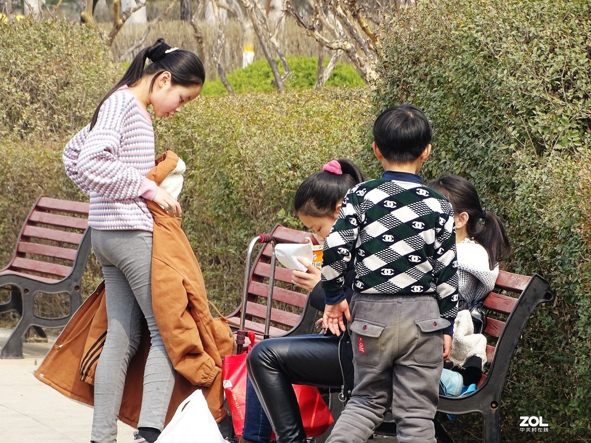 白浪河湿地随拍（2019.03.11-1）