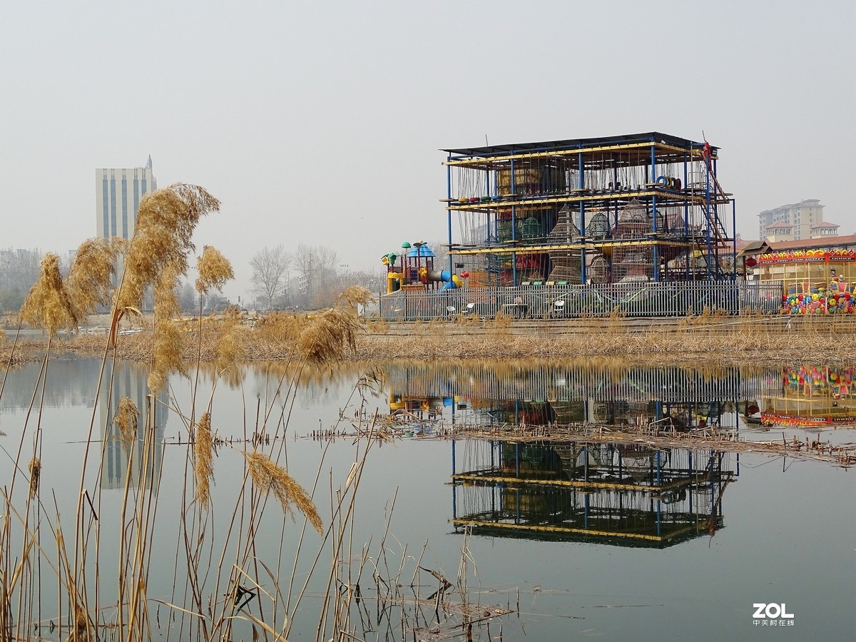 白浪河湿地随拍（2019.03.11-1）