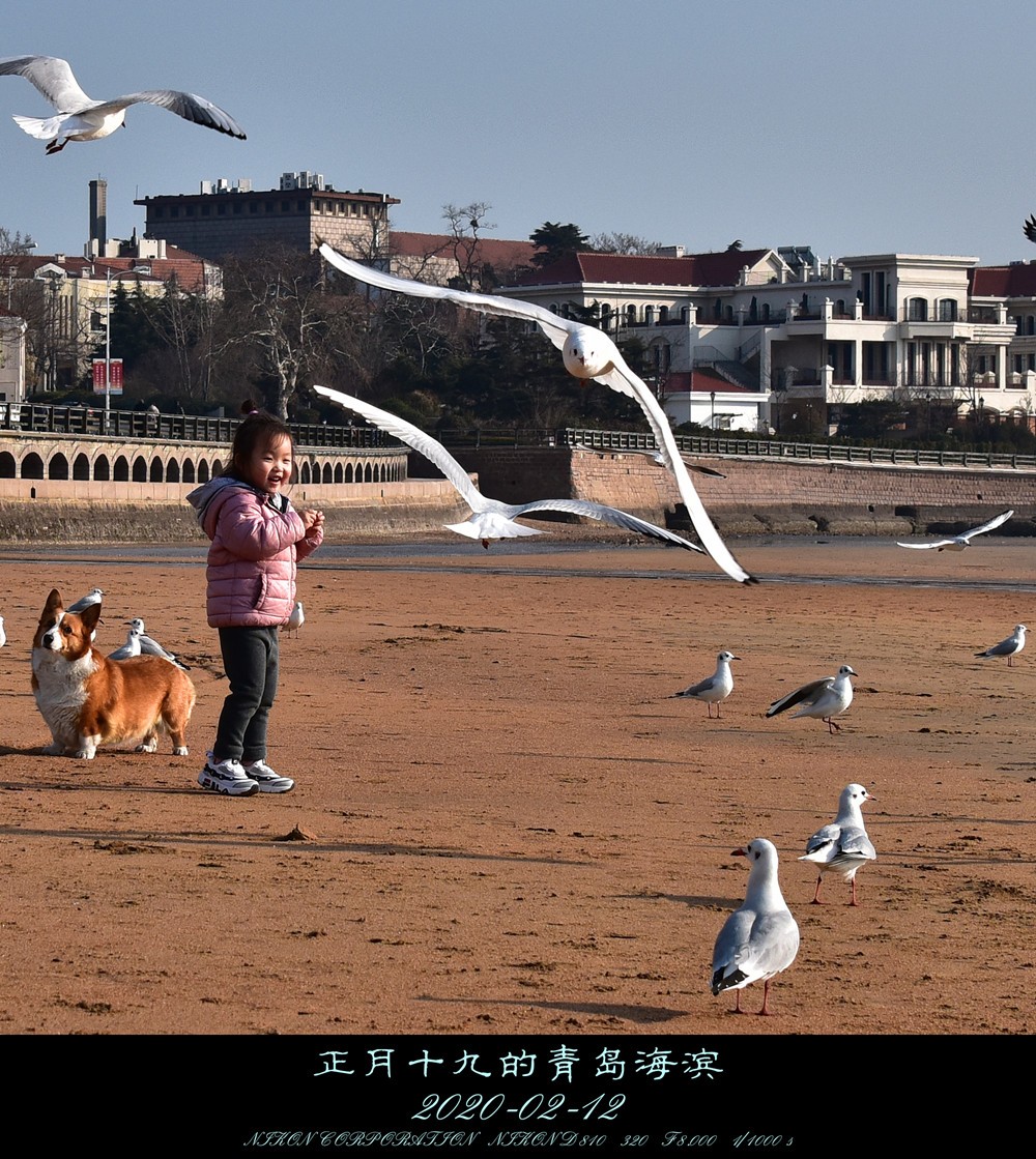 正月十九的青岛海滨。