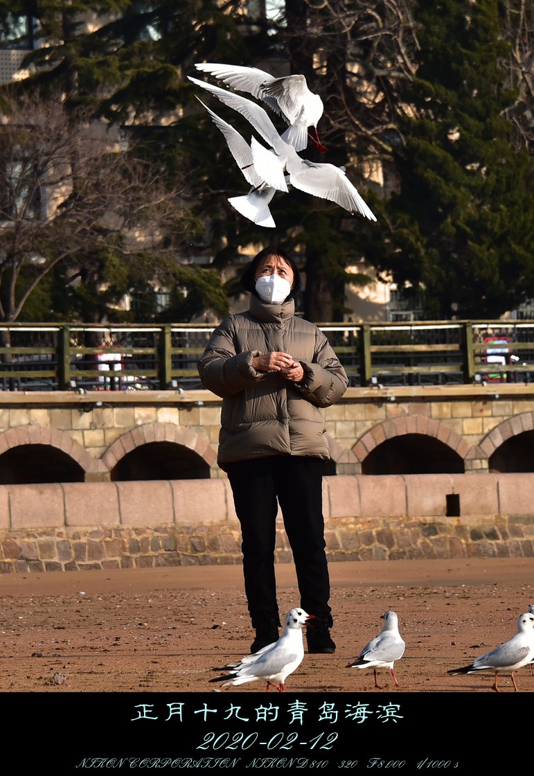 正月十九的青岛海滨。