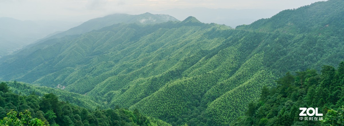 井冈山的峥嵘岁月
