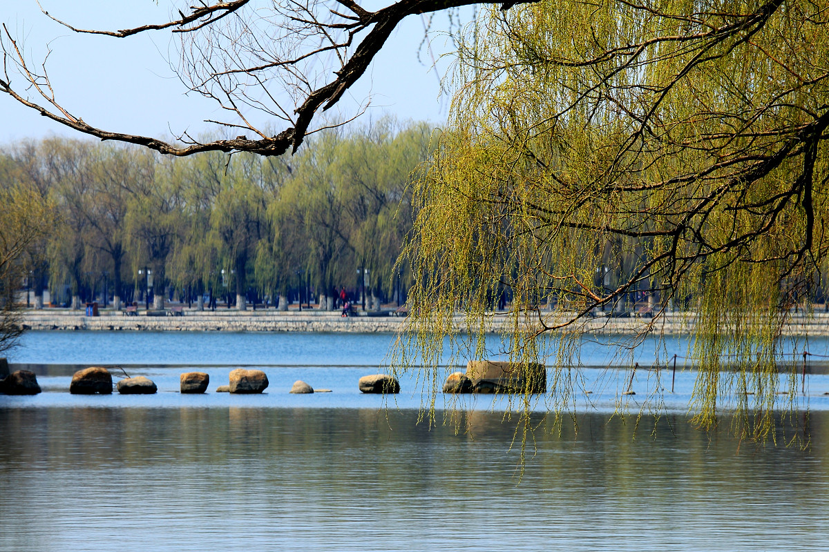 习作-春游 （请假）