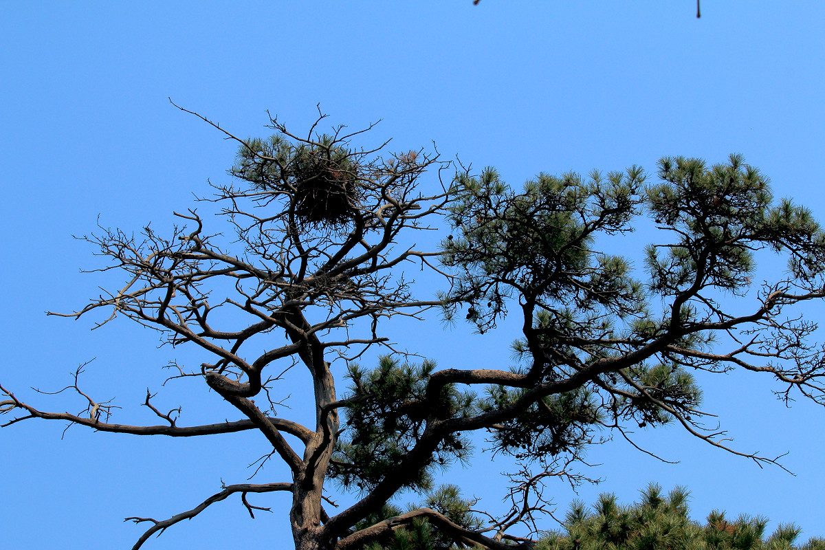 习作-春游 （请假）