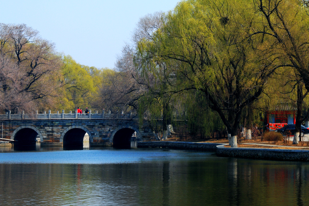 习作-春游 （请假）