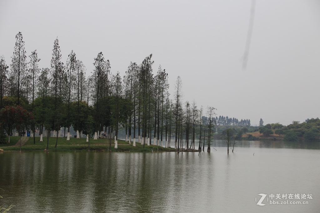松湖烟雨
