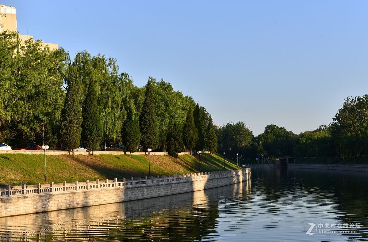 北京玉渊潭公园晨景（1）