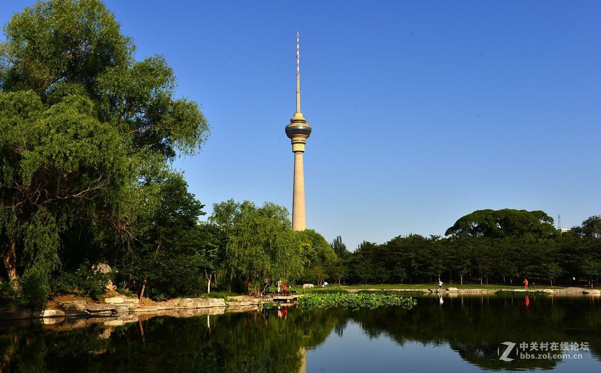 北京玉渊潭公园晨景（1）