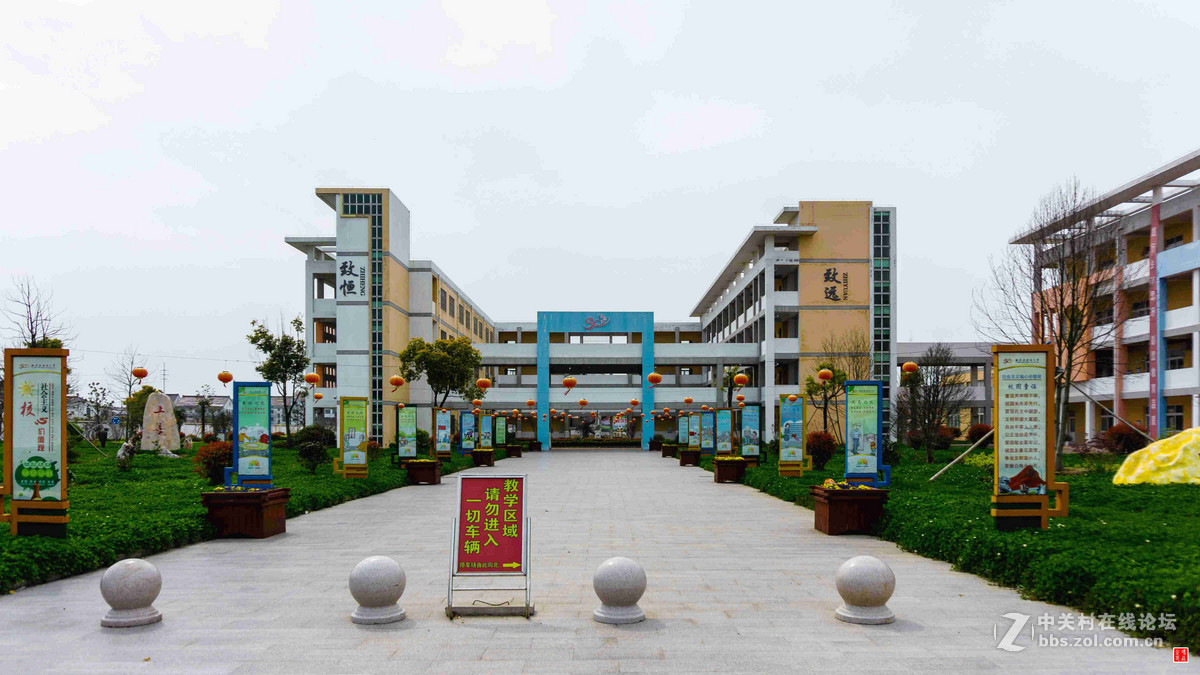 双甸小学