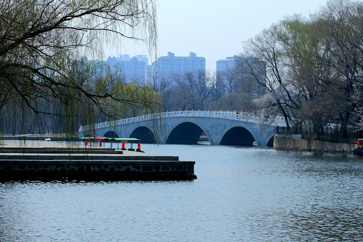 习作-春游 （请假）