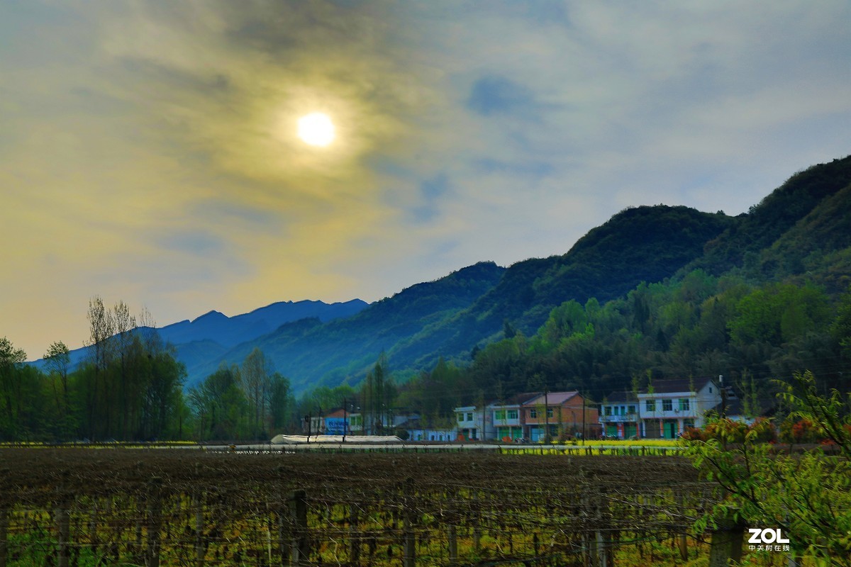 峡口镇沿途随拍风景油菜花