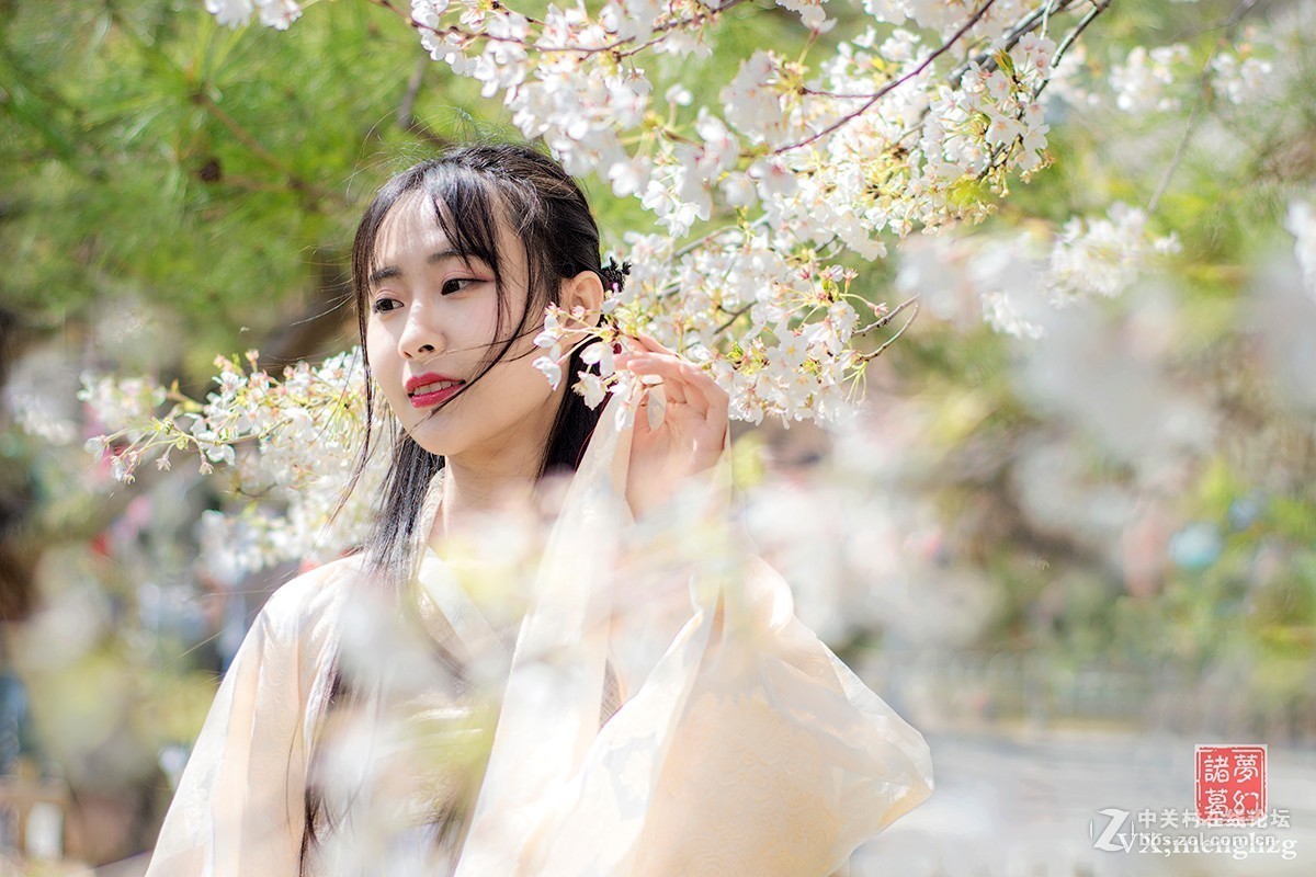 【梦幻美拍】樱花秀美映佳人
