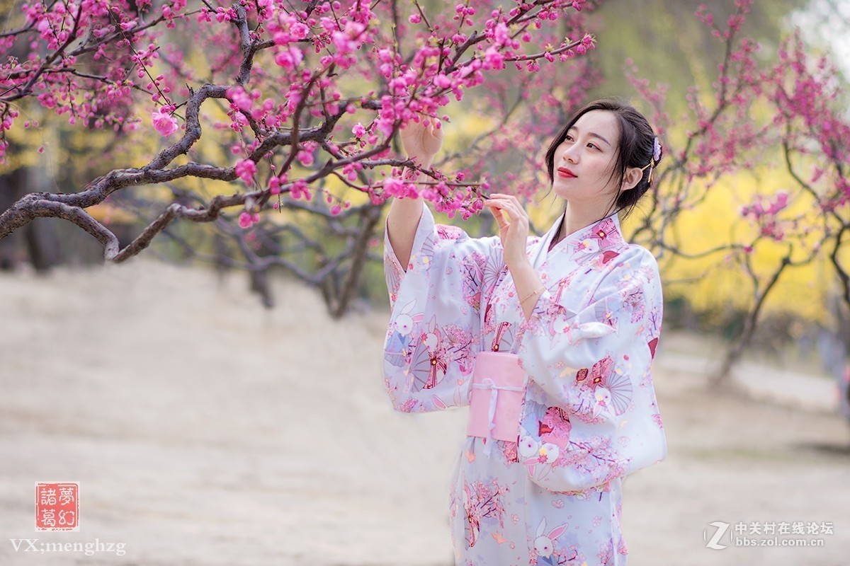 【梦幻美拍】樱花秀美映佳人