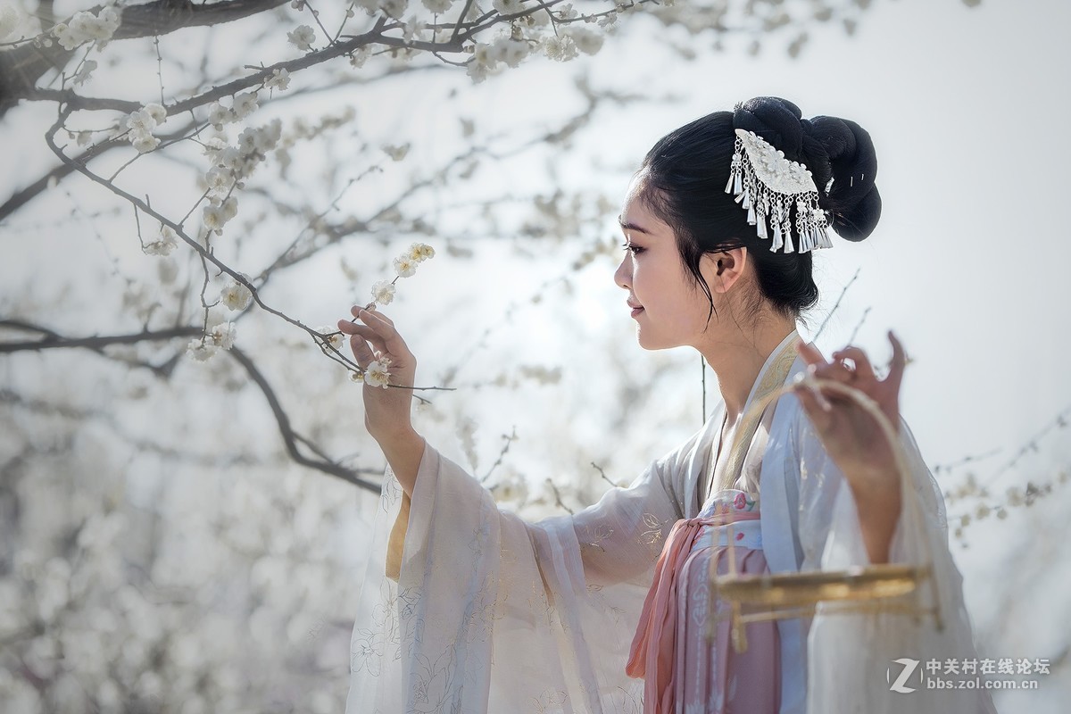 春日花美人也美