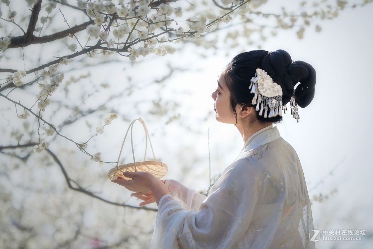 春日花美人也美