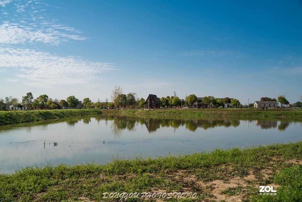 索尼 ILCE-7RM2 拍牡丹-雍容华贵