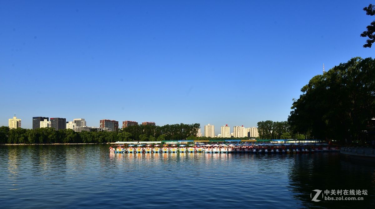 北京玉渊潭公园晨景（1）