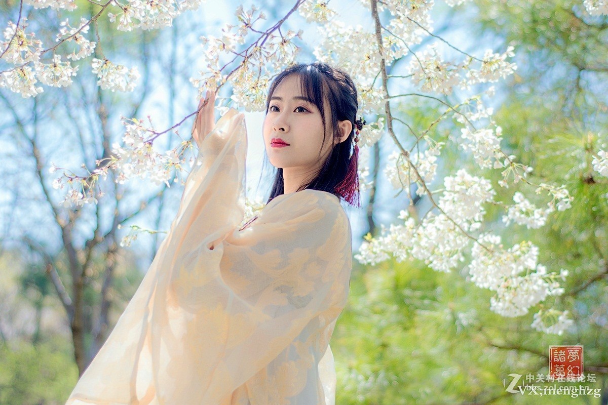 【梦幻美拍】樱花秀美映佳人