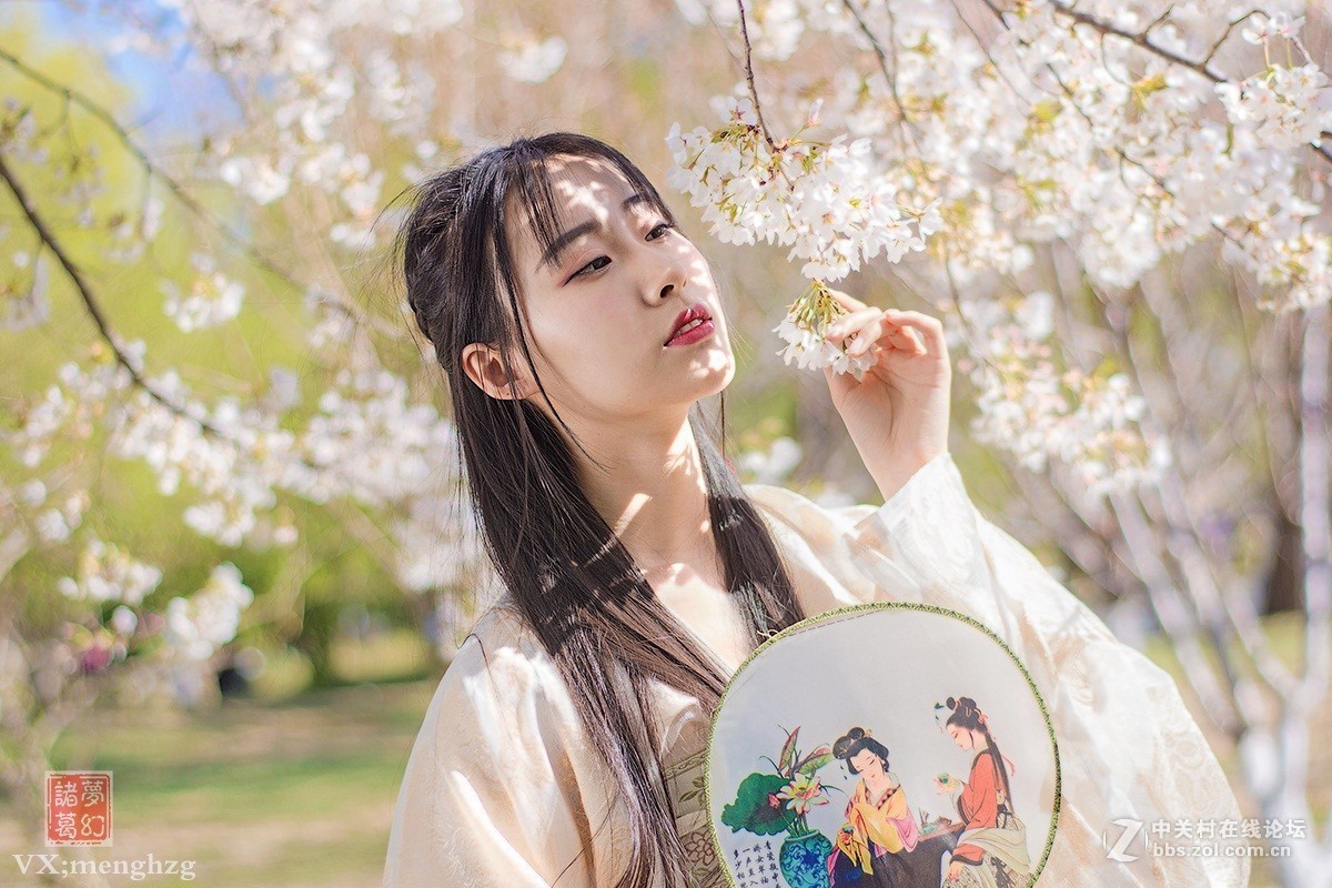 【梦幻美拍】樱花秀美映佳人