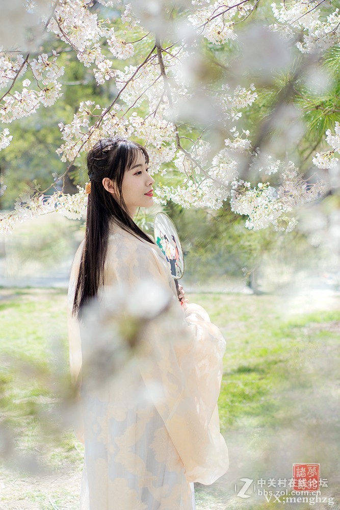 【梦幻美拍】樱花秀美映佳人
