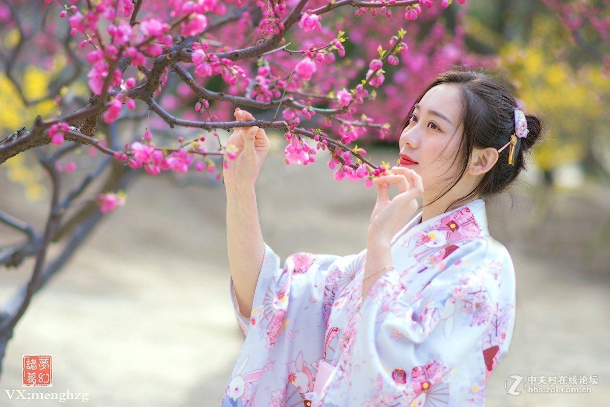 【梦幻美拍】樱花秀美映佳人