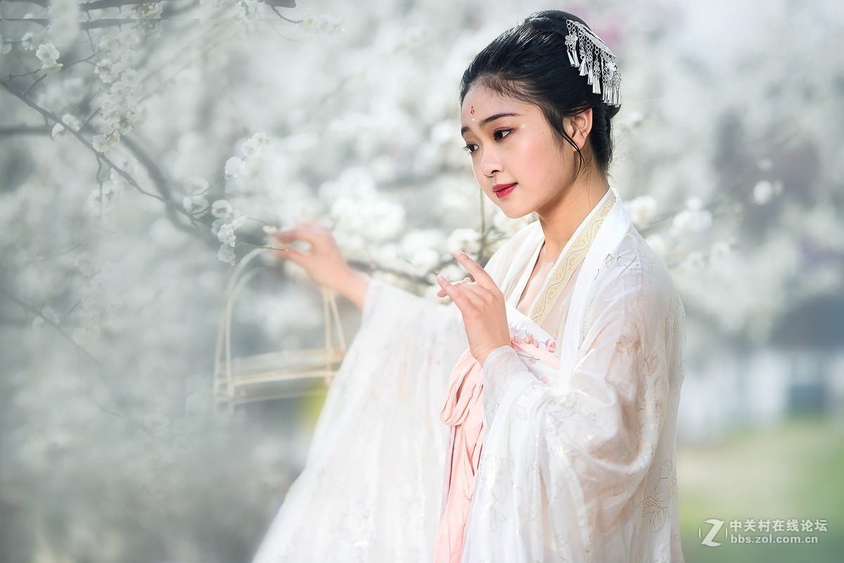 春日花美人也美