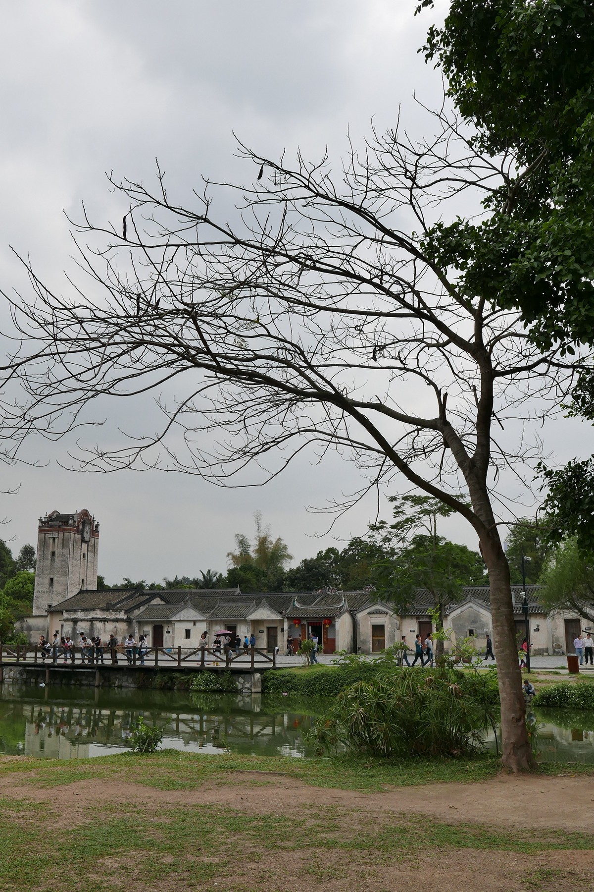 DLUX 109试机片，一不小心解毒了