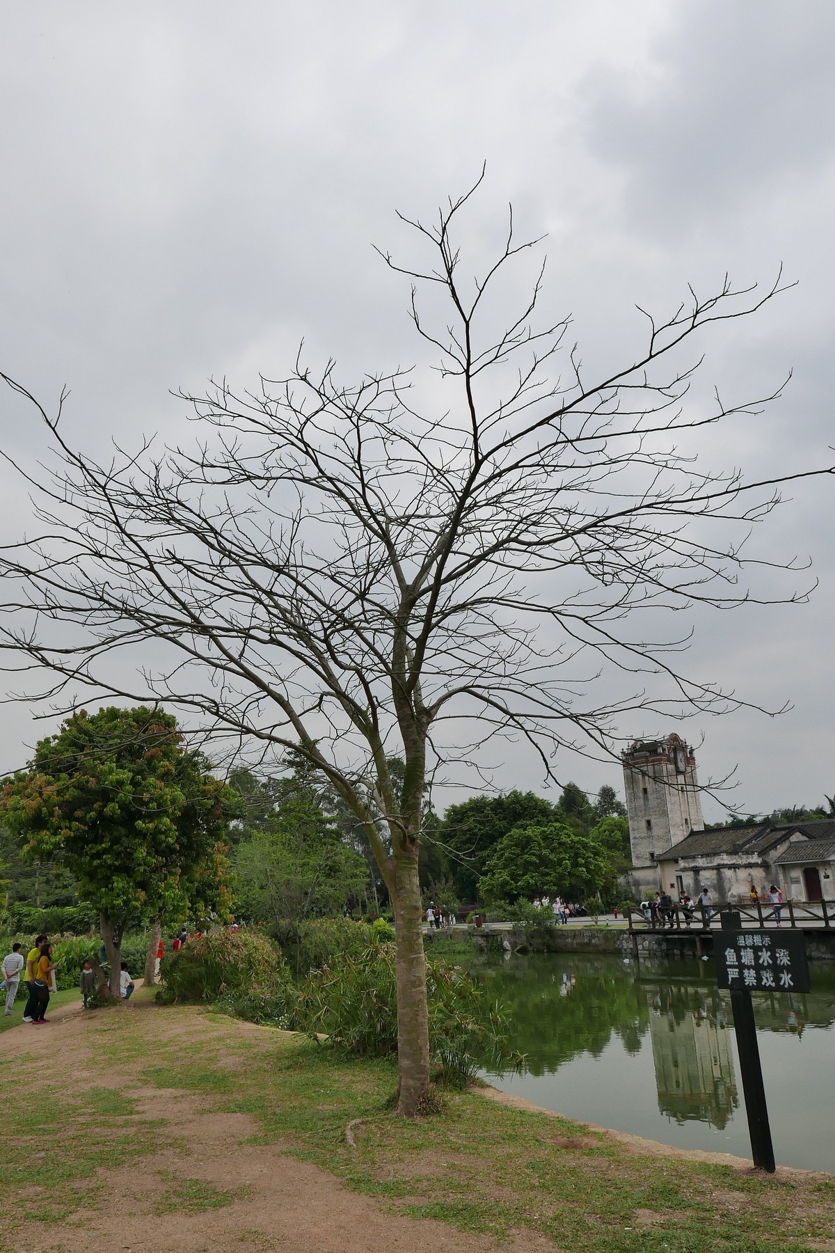 DLUX 109试机片，一不小心解毒了