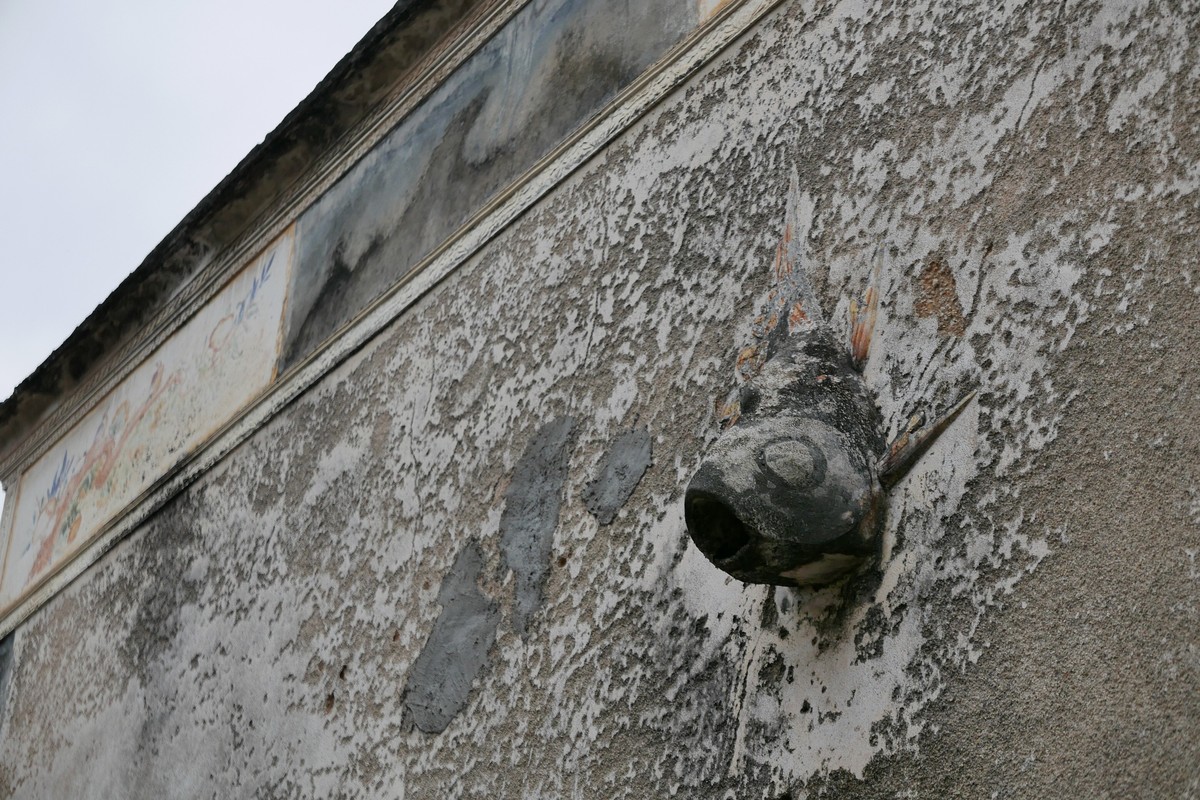 DLUX 109试机片，一不小心解毒了