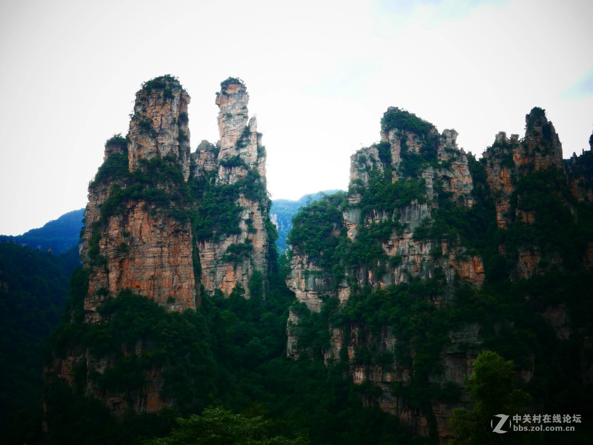 美丽湘西张家界随拍！