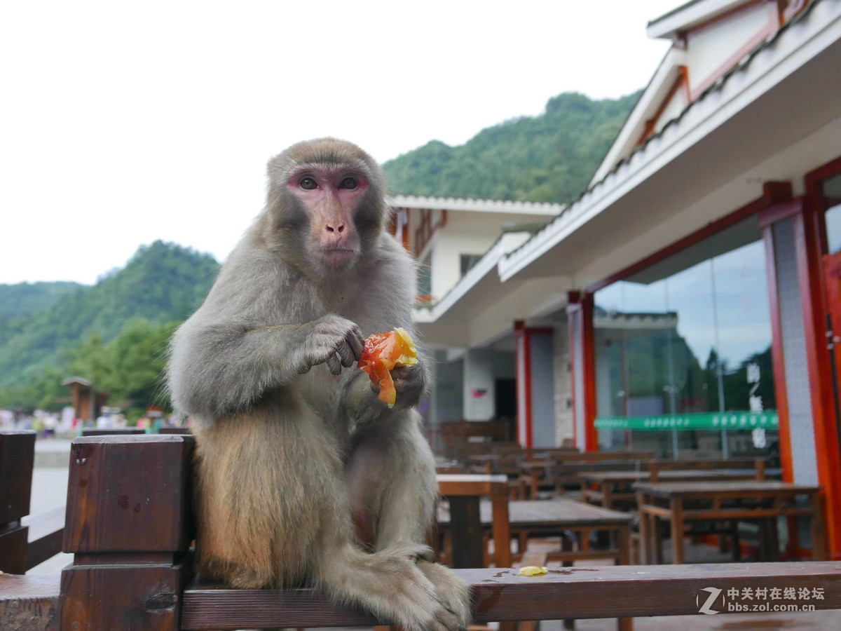 美丽湘西张家界随拍！