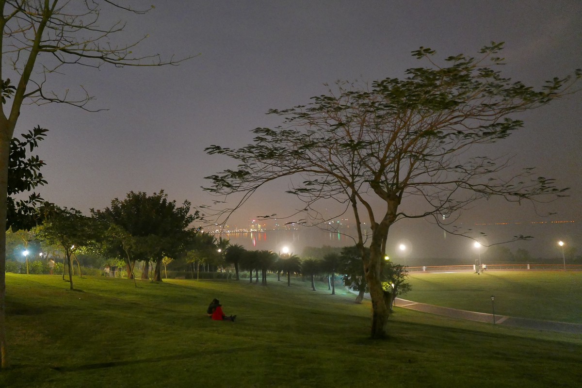 DLUX 109试机片，一不小心解毒了