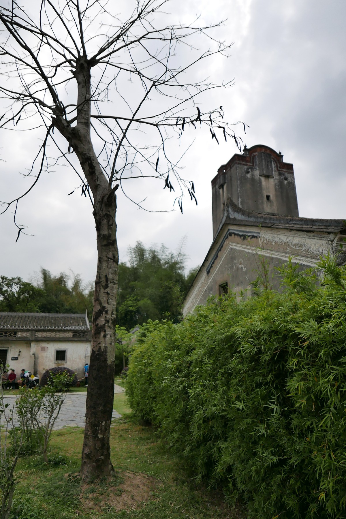 DLUX 109试机片，一不小心解毒了